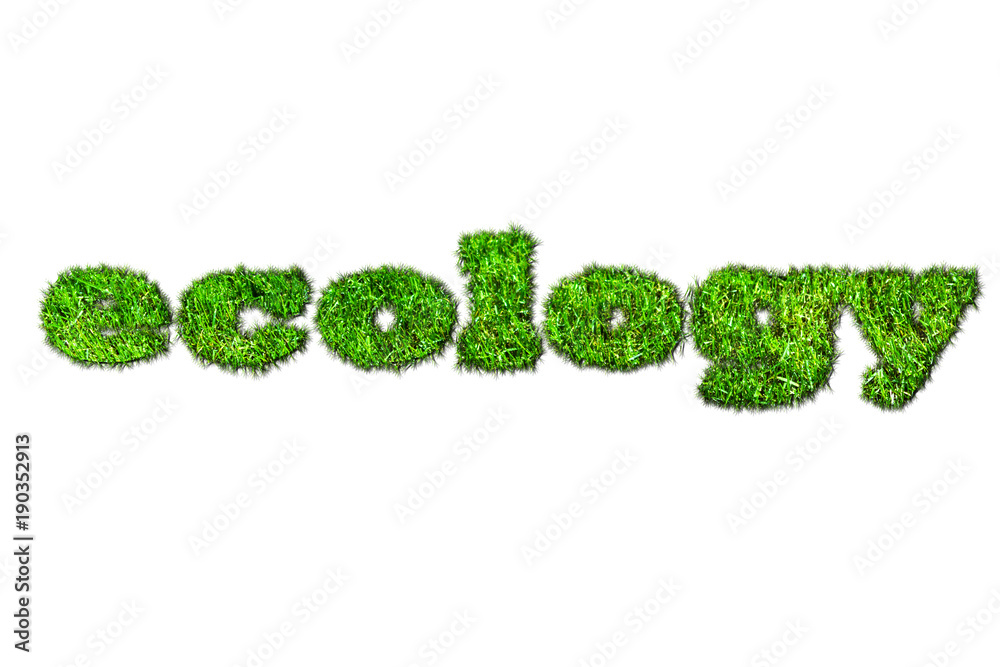 logo lettering ecology on a white background. web design.