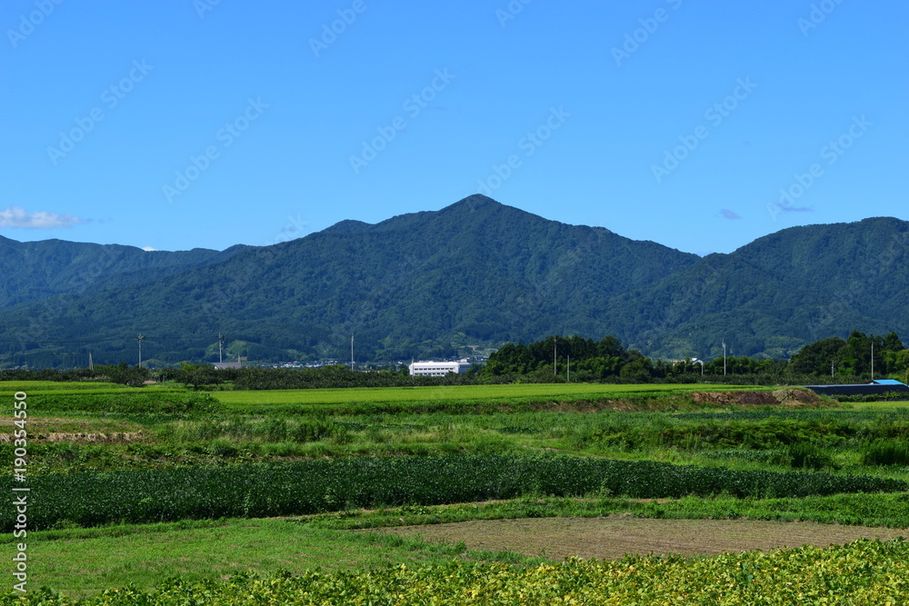 Fototapeta premium 金峯山(きんぼうざん)/ 山形県の庄内海浜県立自然公園内にあり、国指定名勝として指定されている金峯山は、標高459mです。山頂からの景観は、鶴岡市内を見下ろすことができ絶景です。また、「旧登山道」と「桜谷神社」は、映画のロケ地として利用されました。