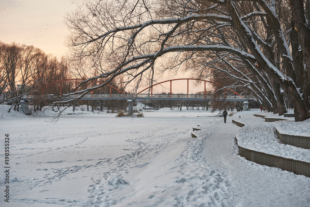 The frozen winter river above it hang the branches of the trees and in the distance the bridge is visible.