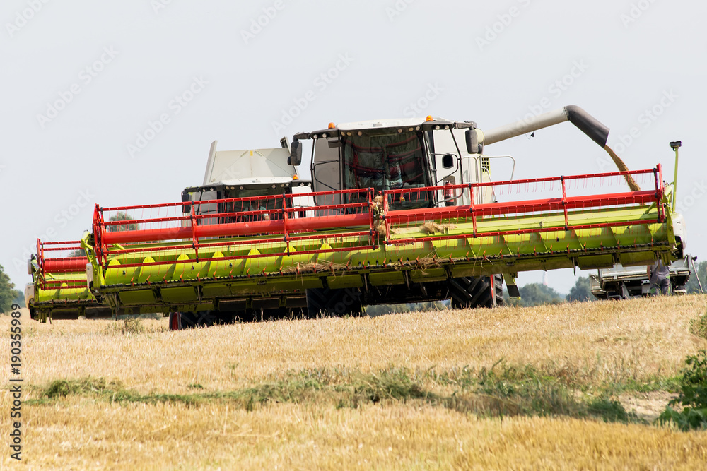 Fototapeta premium Ernte