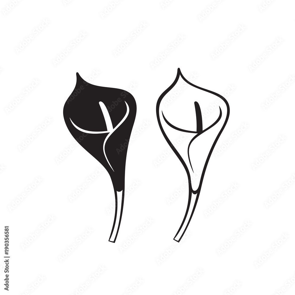Vector Calla lily flower isolated on white background. Icons. Vector Calla lily flower isolated on white background. Icons.