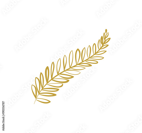 Doodle hand drawn palm branch with leaves on white