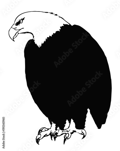 Adler Design - eagle design
