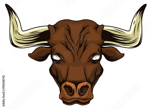 Bull head