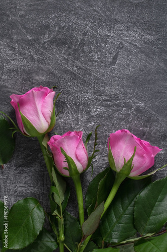 Pink roses on a textured grunge background. Flat lay.