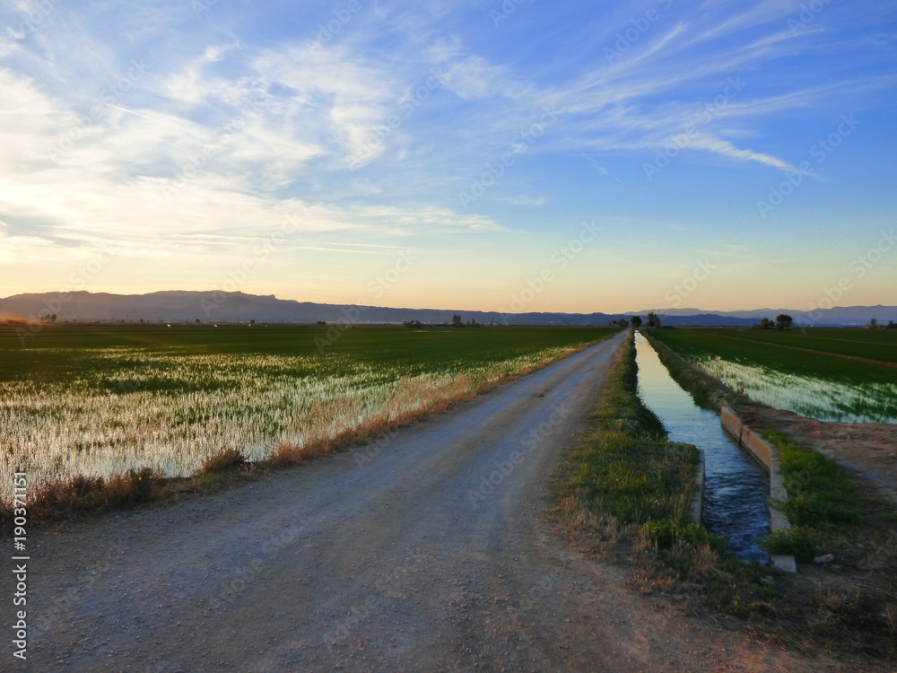 Delta del Ebro, Tarragona (Cataluña,España)