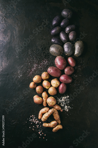 Variety of raw uncooked organic potatoes different kind and colors red, yellow, purple with various of salt over dark texture background. Top view, space