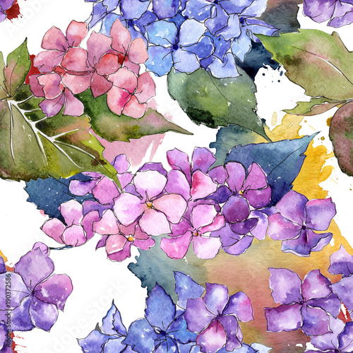 Wildflower hydrangea flower pattern in a watercolor style. Full name of the plant: hydrangea. Aquarelle wild flower for background, texture, wrapper pattern, frame or border.