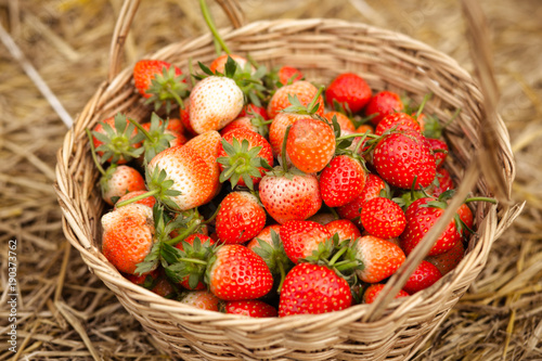Fresh strawberry in wood basket