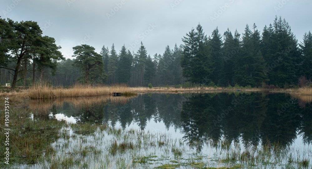 Lake with fir trees and yellow grass on shore. Overcast winter day. Lake with fir trees and yellow grass on shore. Overcast winter day.