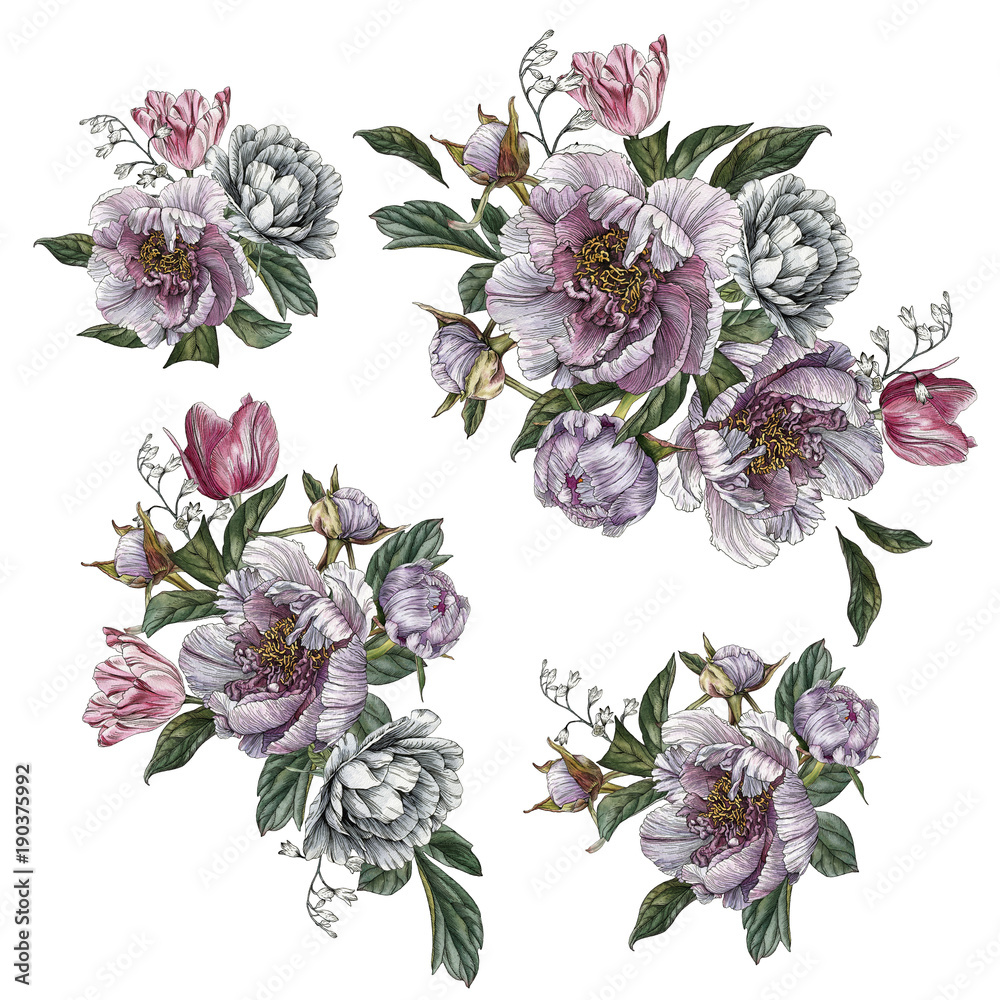Bouquets of peonies and tulips. Flowers set of watercolor flowers