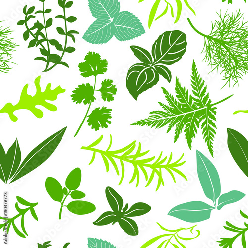 Farm fresh culinary herbs on white seamless pattern vector. Salad mix cooking seasonings.