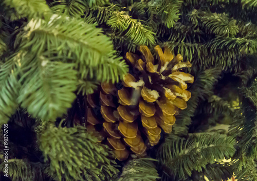 Fototapeta Naklejka Na Ścianę i Meble -  Decoration of a Christmas tree with natural cones, festive Christmas decorations and a new year in rustic style