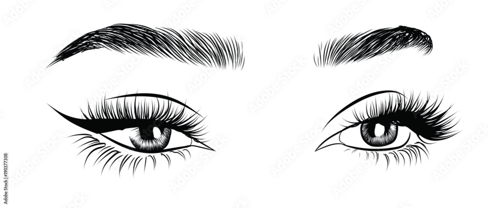 Hand-drawn woman's sexy luxurious eye with perfectly shaped eyebrows and full lashes. Idea for business visit card, typography vector. Perfect salon look