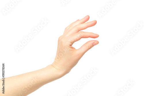 Fotografie, Obraz Female hand isolated at white background making picking gesture.