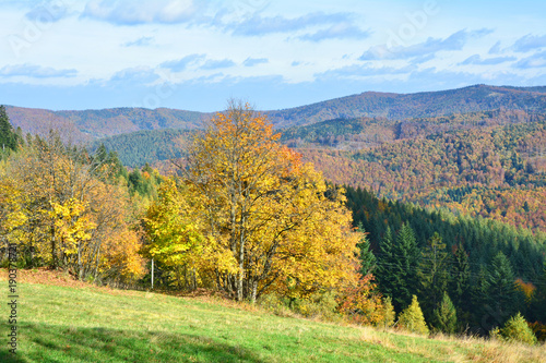 Autumn Carpathians mountains in Poland