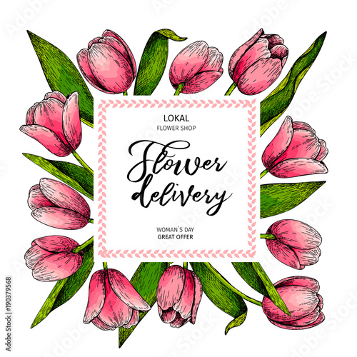 Hand drawn spring floral banner. Colored pink tulip. Flower delivery. Hand drawn detailed engraved illustration. Good for Easter, Woman day, Valentine greeting cards, sale flyer, wedding invitation photo