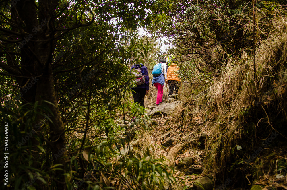 Obraz premium Girls hiking and passing through woods
