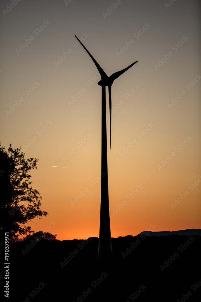 Obraz premium Wind Power Stations in the Evening Sun