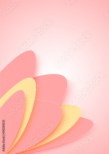 Yellow and pink flower petals