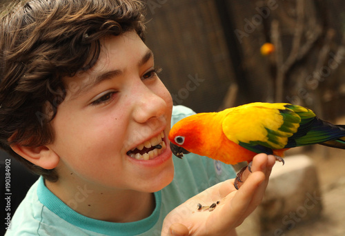 teenager boy feeding parrot with sonflower seed funny photo photo