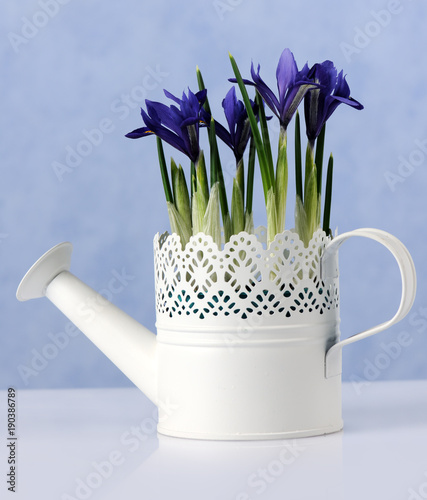 Fototapeta Naklejka Na Ścianę i Meble -  spring floral composition