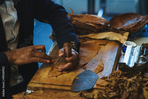 Obraz na plátně Process of making traditional cigars from tobacco leaves with own hands using a mechanical device and press