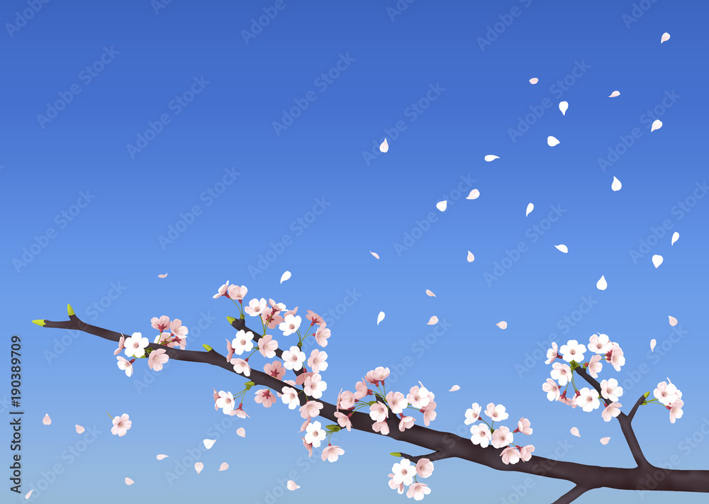 花びら舞い散る桜 Stock イラスト Adobe Stock