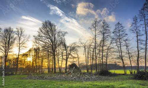 Entwurzelter Baum nach Unwetter photo