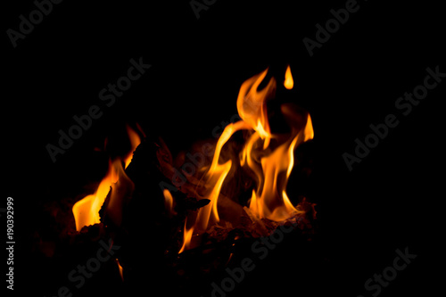 firewood burning on black