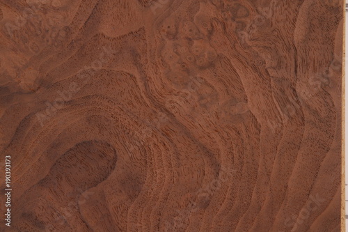 Fotografi Veneer of valuable wood