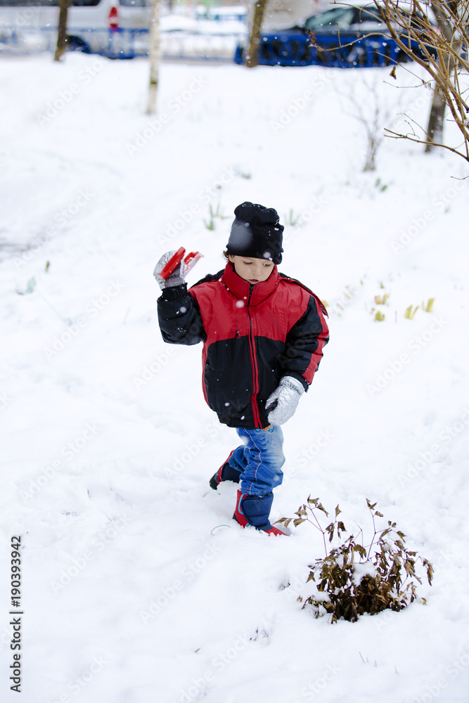 Portrait of cute little boy playing with snow in winter