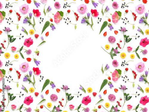 Frame of flowers and berries. Composition pattern from plants, wild flowers and red berries, isolated on white background, flat lay, top view. The concept of summer, spring, Mother's Day, March 8. 