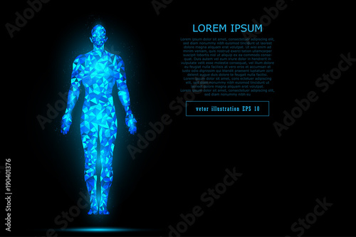 HUD interface virtual human body polygonal hologram future system health innovation and technology concept background, vector illustration.