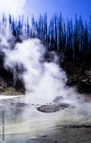 Monarch Gyser Crater Yellowstone