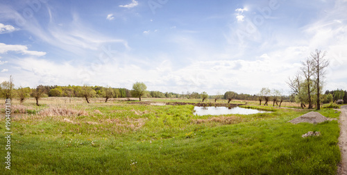 sunny panorama