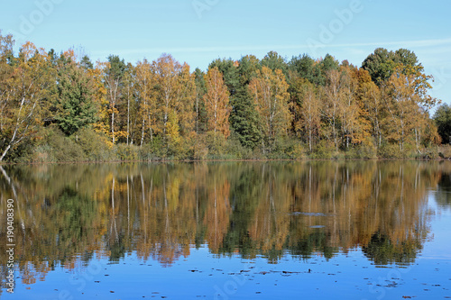Calm scenery of autumn nature
