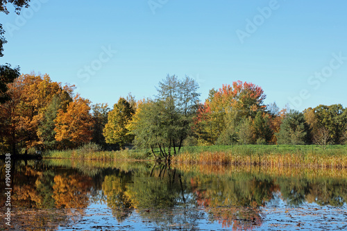 Autumn colored nature reflecting at lake