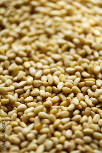 Food background. Texture of shelled organic pine nuts. Banner