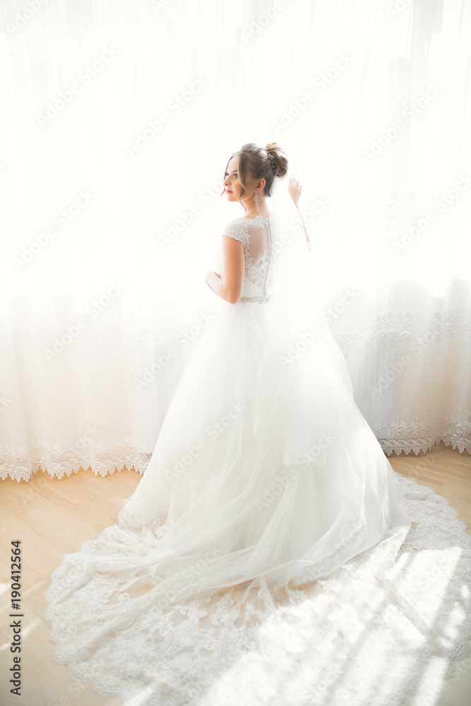 Portrait of beautiful bride with fashion veil at wedding morning Portrait of beautiful bride with fashion veil at wedding morning