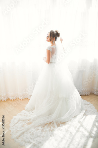 Portrait of beautiful bride with fashion veil at wedding morning