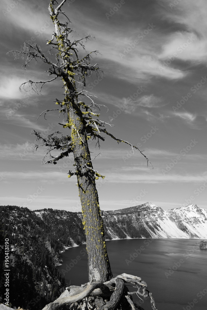 Obraz premium Crater Lake, Oregon