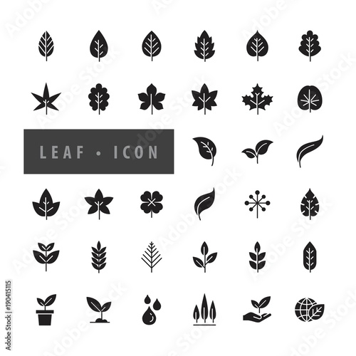 Leaf Icon Set Vector Illustration, icons modern design style © Komate