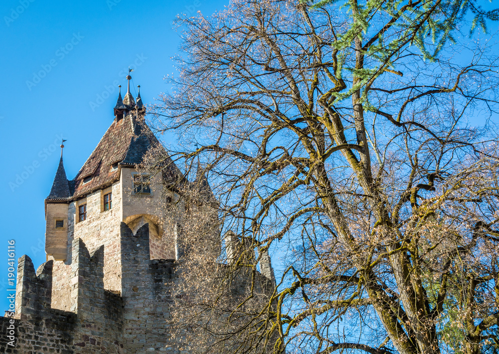 Castle d'Enna (Schloss Enn in german language): panoramic view of the impressive castle localed on a hill above Montagna in South Tyrol, Bolzano, Italy. It was built in the 13th century. Castle d'Enna (Schloss Enn in german language): panoramic view of the impressive castle localed on a hill above Montagna in South Tyrol, Bolzano, Italy. It was built in the 13th century.
