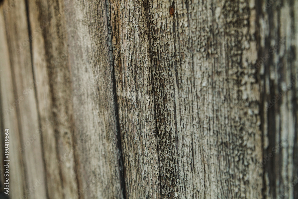 Close up shot of old wooden planks with remains of old peeling light green paint Close up shot of old wooden planks with remains of old peeling light green paint