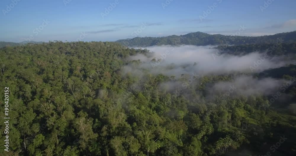 Aerial, Rainforest In Reserva Forestal Golfo Dulce, Costa Rica Aerial, Rainforest In Reserva Forestal Golfo Dulce, Costa Rica