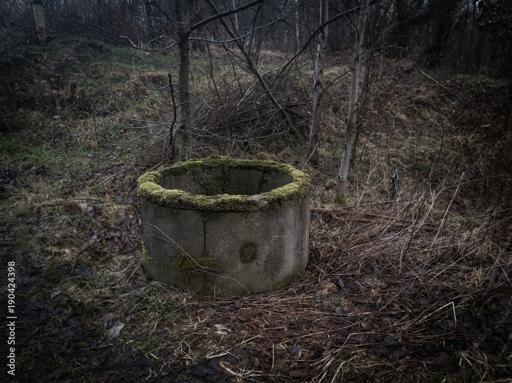 Abandoned well in the forest
