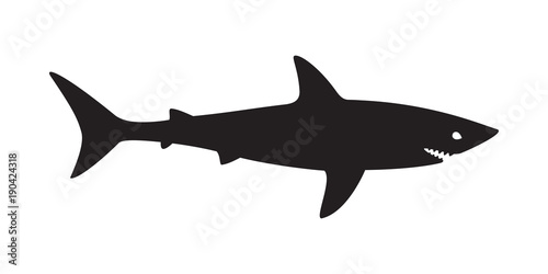 shark vector logo fish icon illustration character