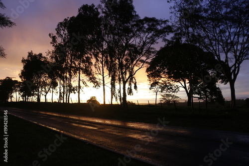 depois da chuva