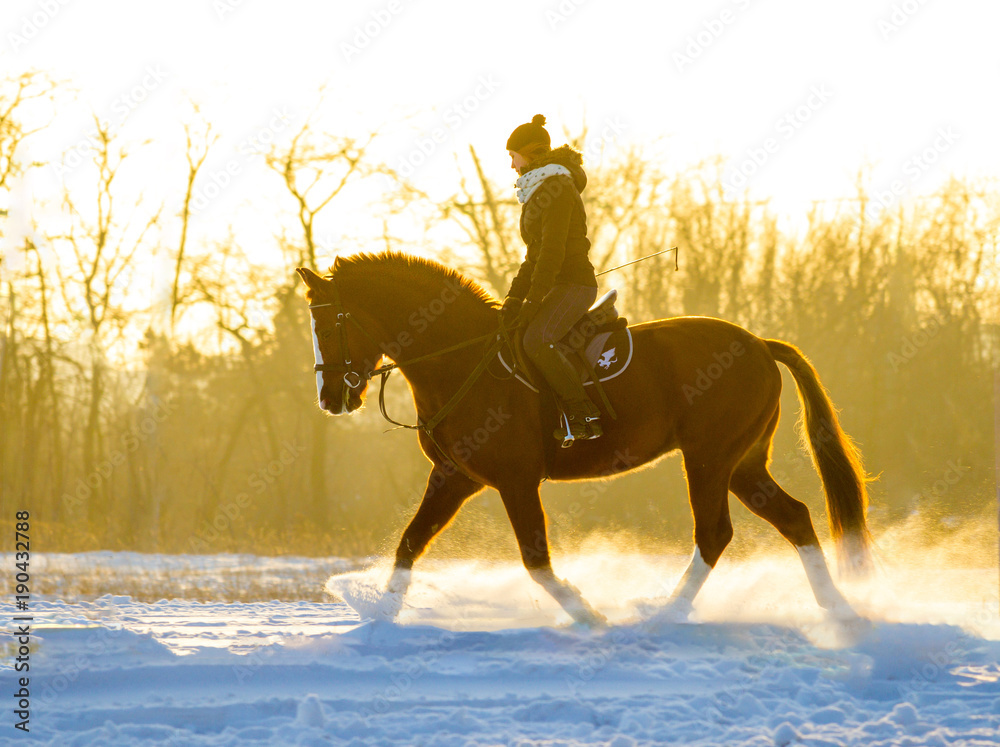 Girl riding the horse in snowy field on sunset Girl riding the horse in snowy field on sunset